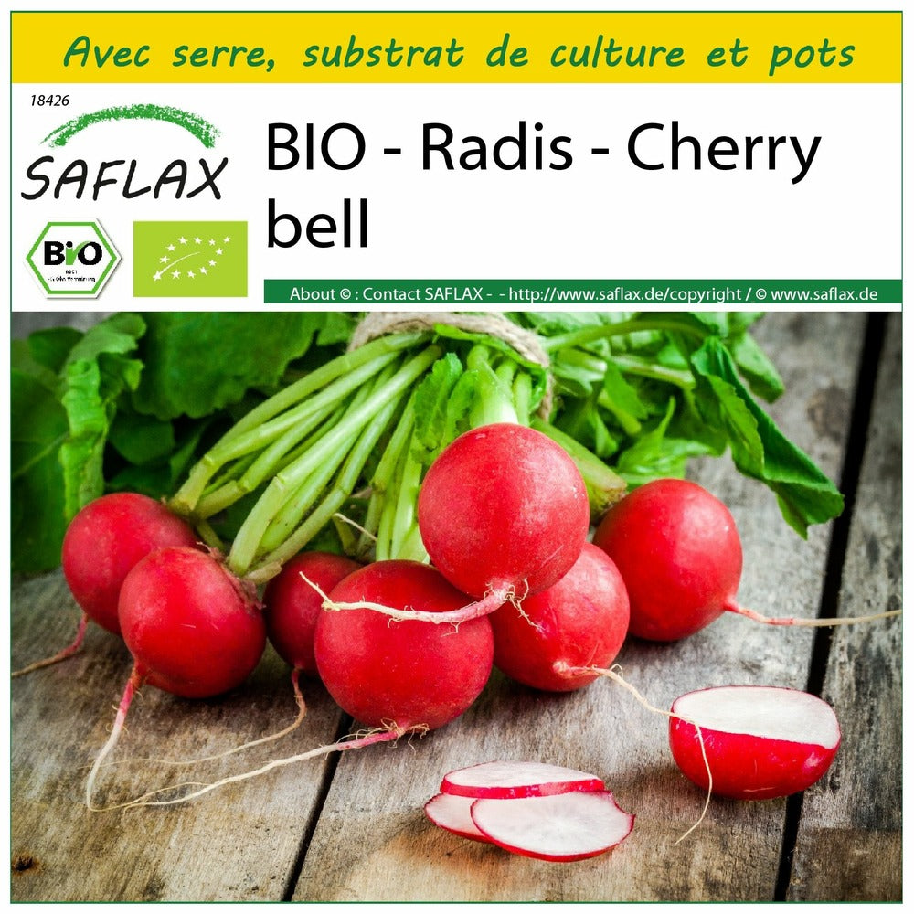  Kit De Culture - Bio - Radis - Cherry Bell - 100 Graines - Raphanus Sativus