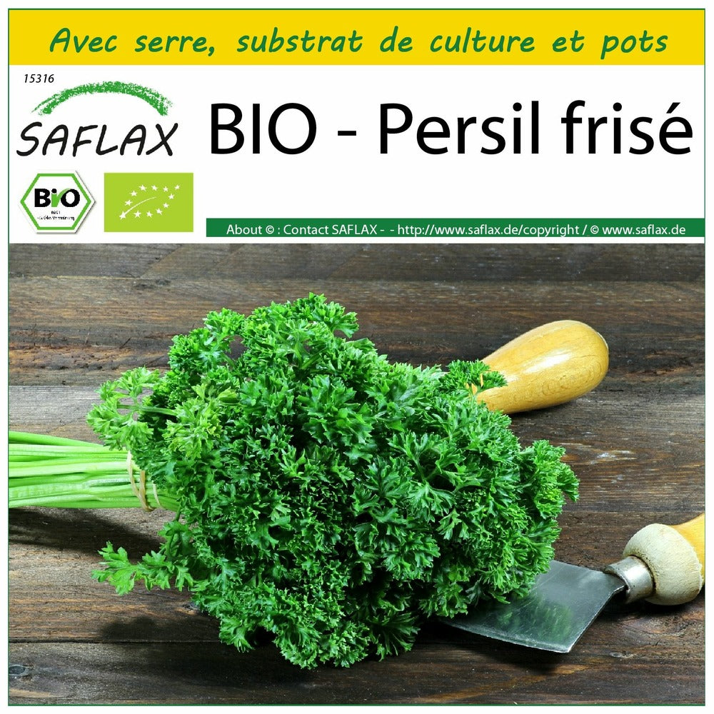  Kit De Culture - Bio - Persil Frisé - 800 Graines - Petroselinum Crispum