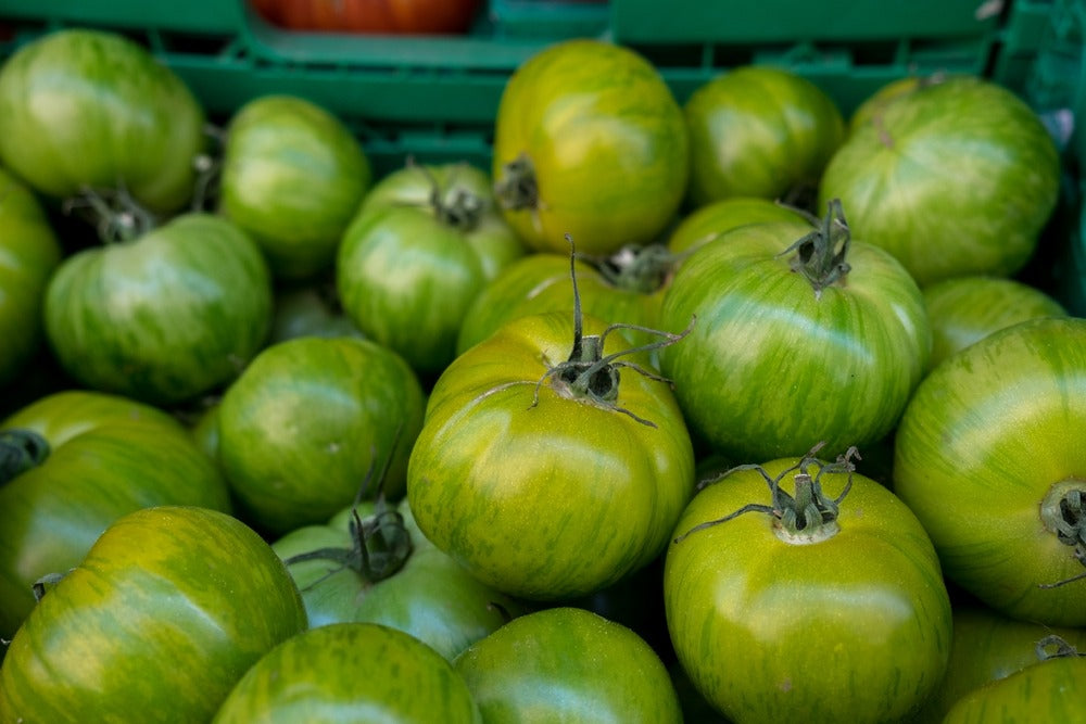  Kit De Culture - Bio - Tomate - Verte Zébrée - 10 Graines - Solanum Lycopersicum