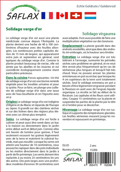  Kit De Culture - Solidage Verge D'or - 100 Graines - Solidago Virgaurea
