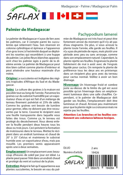  Kit De Culture - Palmier De Madagascar - 10 Graines - Pachypodium Lamerei