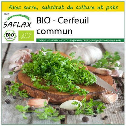  Kit De Culture - Bio - Cerfeuil Commun - 800 Graines - Anthriscus Cerefolium