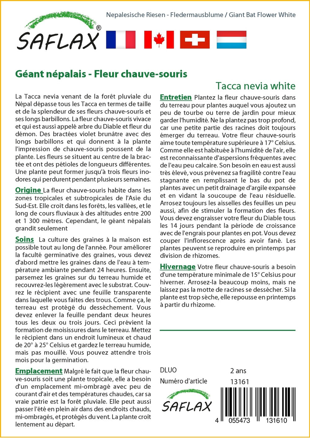  Kit De Culture - Géant Népalais - Fleur Chauve-souris - 10 Graines - Tacca Nevia White