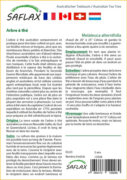  Kit De Culture - Arbre à Thé - 400 Graines - Melaleuca Alternifolia