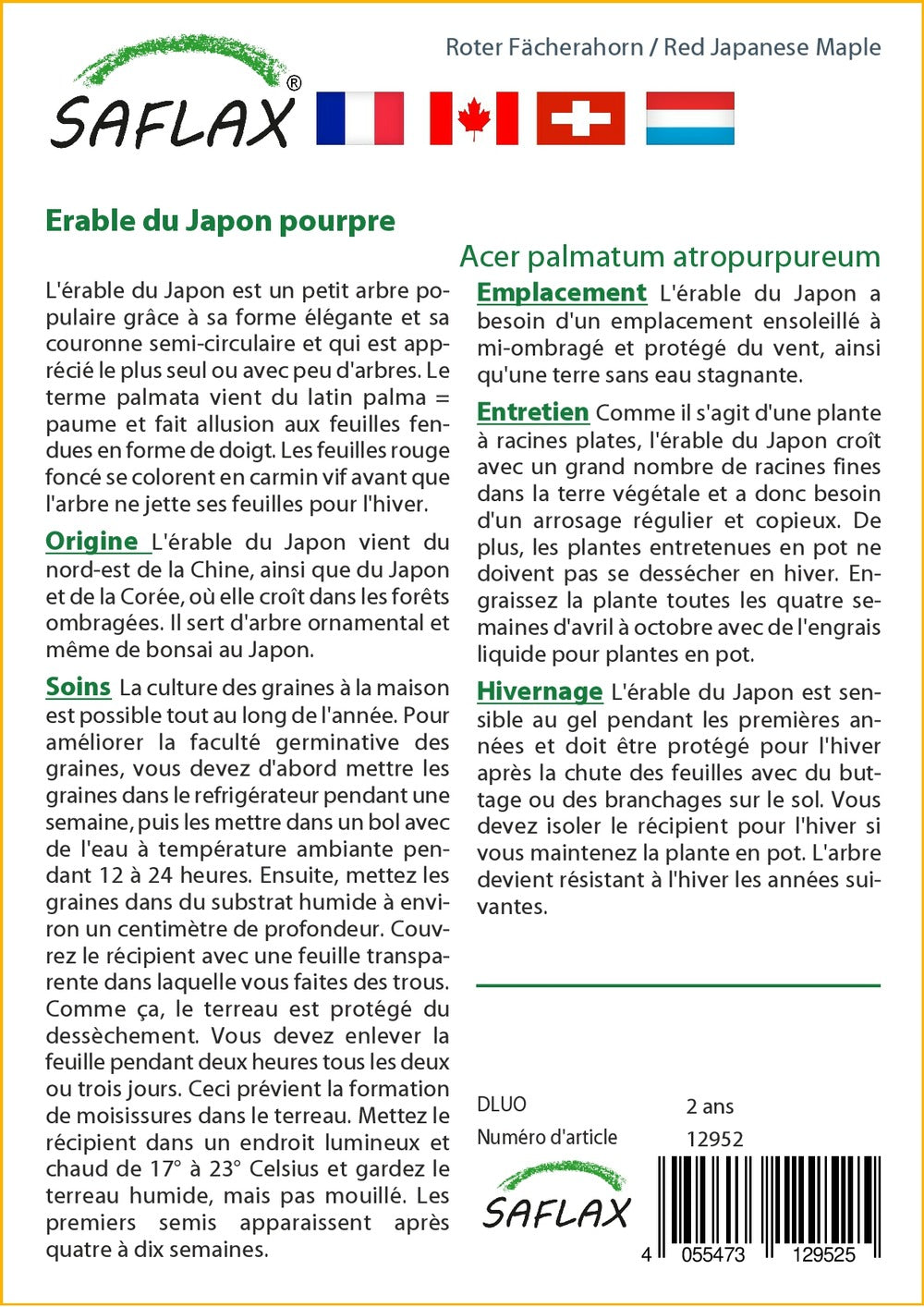  Kit De Culture - Erable Du Japon Pourpre - 20 Graines - Acer Palmatum Atropurpureum