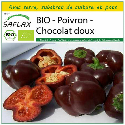  Kit De Culture - Bio - Poivron - Chocolat Doux - 10 Graines - Capsicum Annuum
