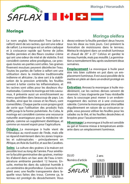  Kit De Culture - Moringa - 10 Graines - Moringa Oleifera