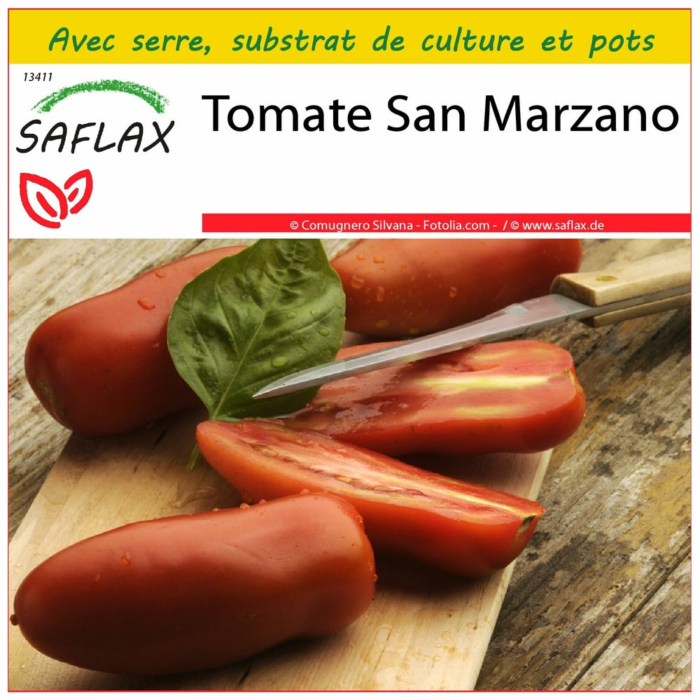  Kit De Culture - Tomate San Marzano - 10 Graines - Lycopersicon Esculentum