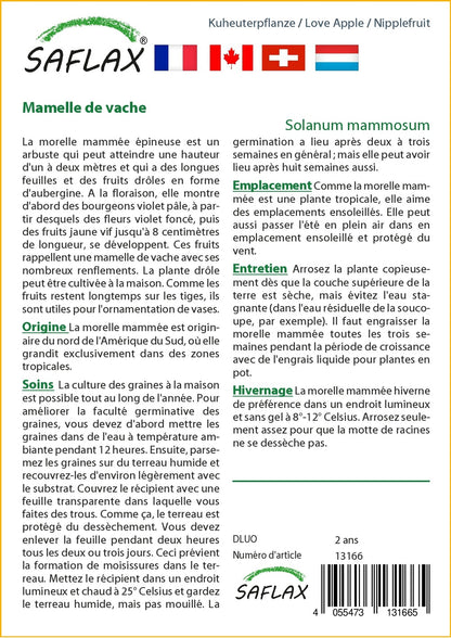  Kit De Culture - Mamelle De Vache - 10 Graines - Solanum Mammosum