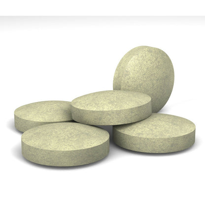  Anti Parasitaire Naturel 60 Comprimés Pour Grand Chien