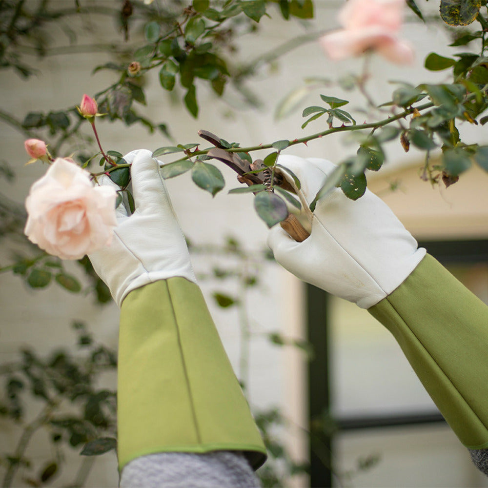 ESSCHERT DESIGN Gants Ronces Et épines