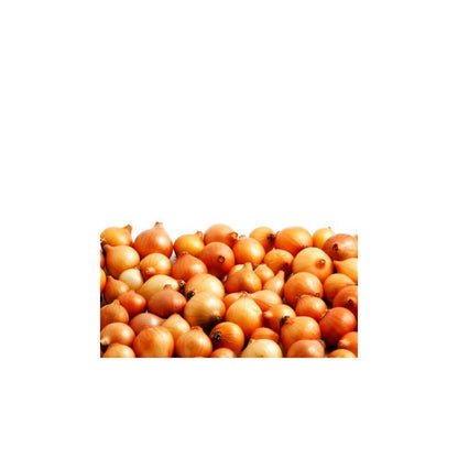  Jaune Paille Des Vertus Bulbes D'oignons A Repiquer 500gr