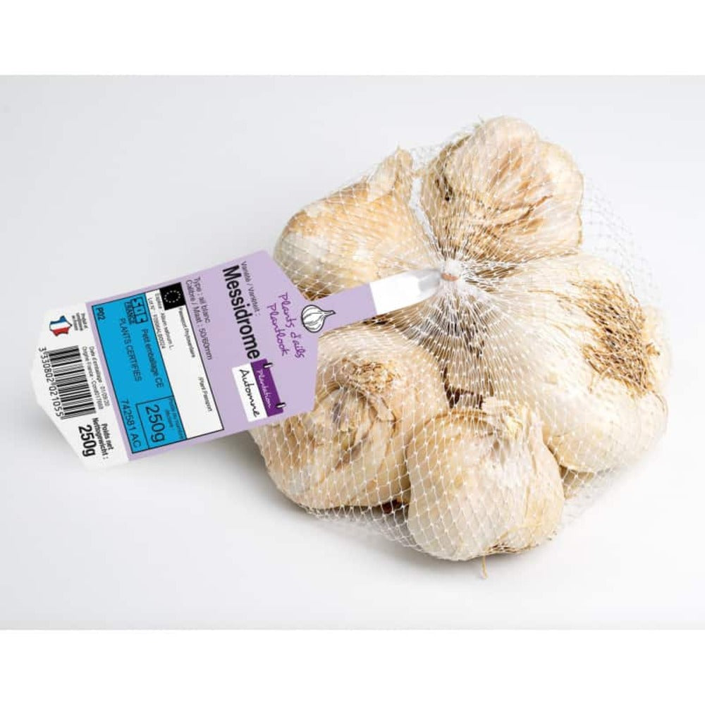  Messidrome Blanc Ail A Repiquer 500 Gr