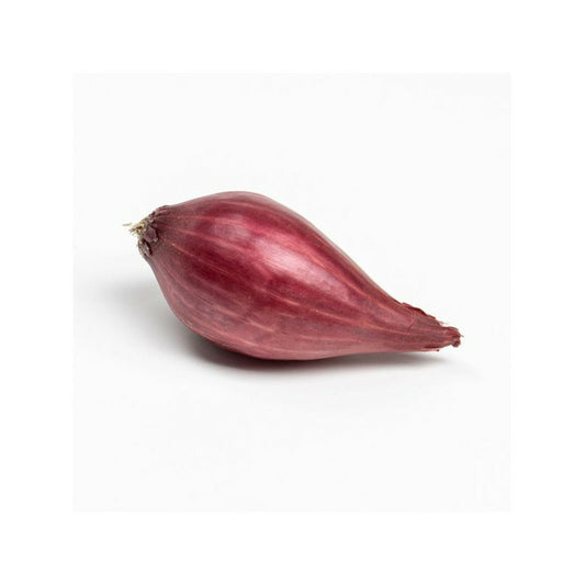  Red Karmen (rouge) Bulbes D'oignons A Repiquer 500gr