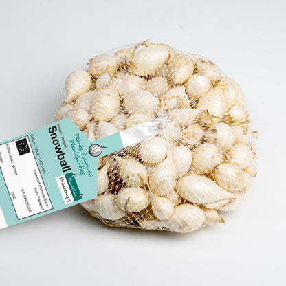  Snowball (blanc) Bulbes D'oignons A Repiquer 500gr