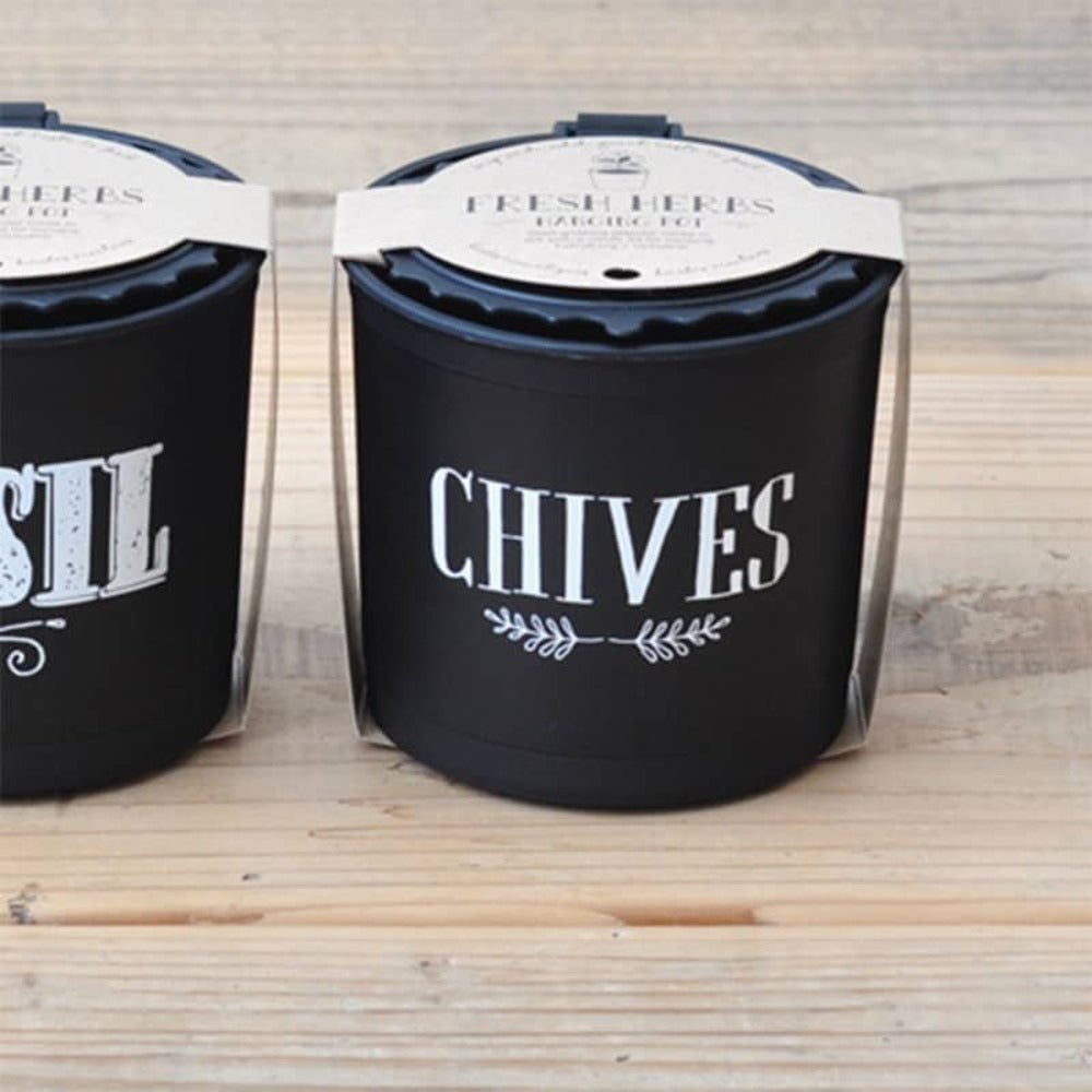  Ciboulette Pot Suspendu