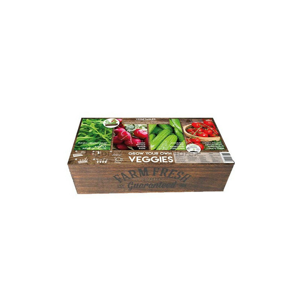  Carré De Potager Légumes Avec Mini Serres