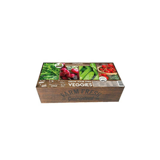  Carré De Potager Légumes Avec Mini Serres
