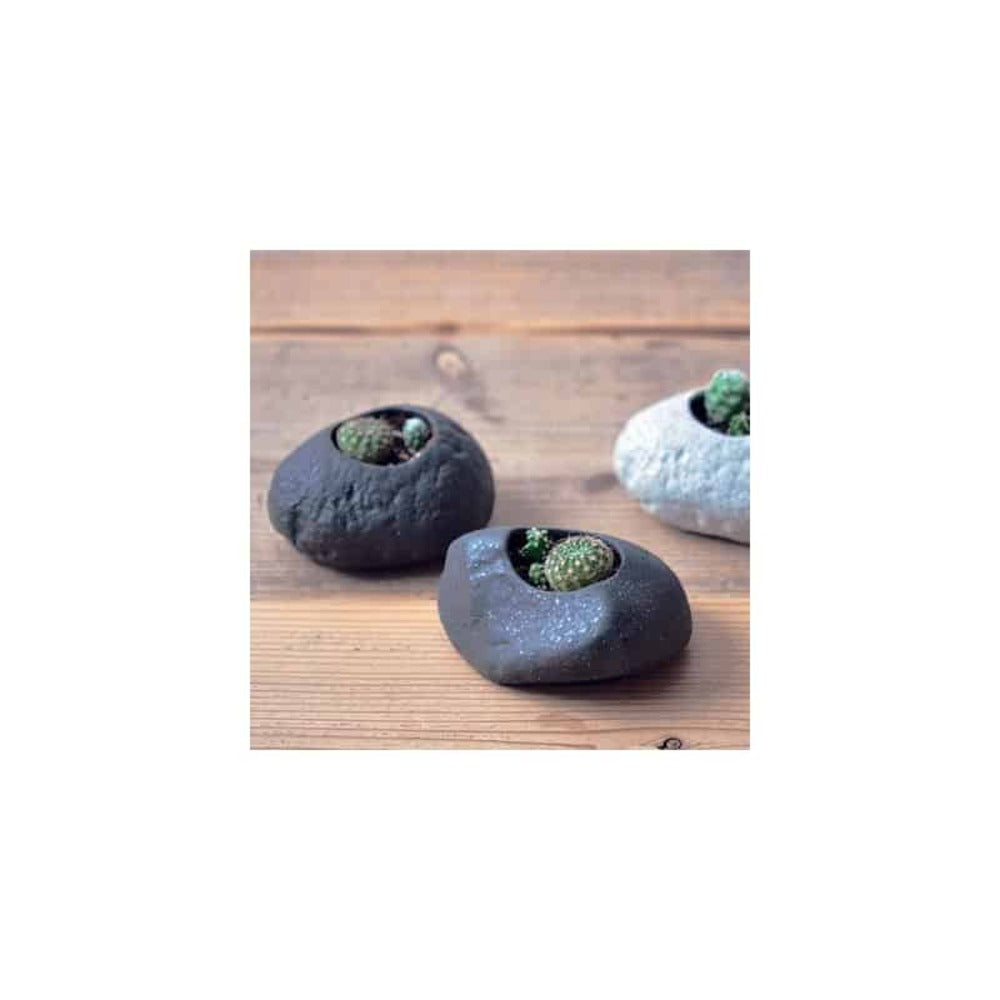  Kit Cactus Pot En Pierre