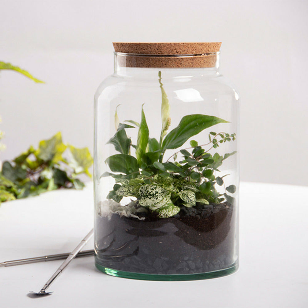 ESSCHERT DESIGN Pot Pour Terrarium 32 Cm