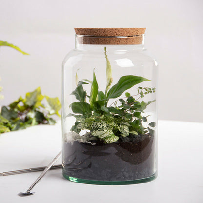 ESSCHERT DESIGN Pot Pour Terrarium 32 Cm
