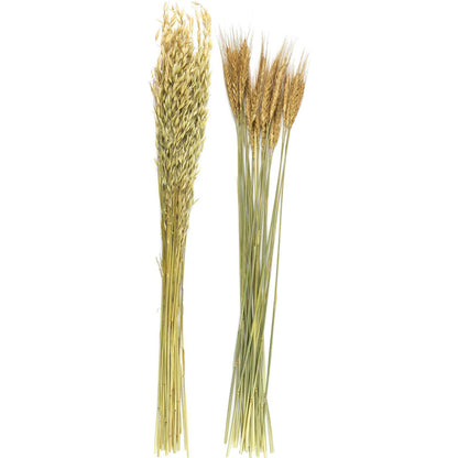  Bouquet De Fleur Séchée 75 Cm (lot De 2)