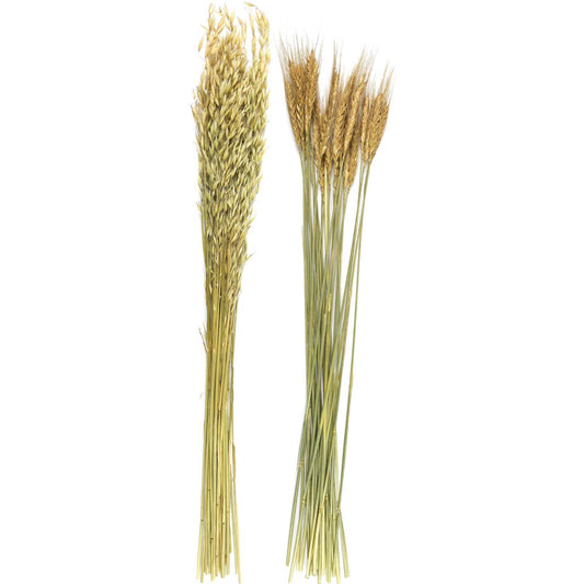  Bouquet De Fleur Séchée 75 Cm (lot De 2)