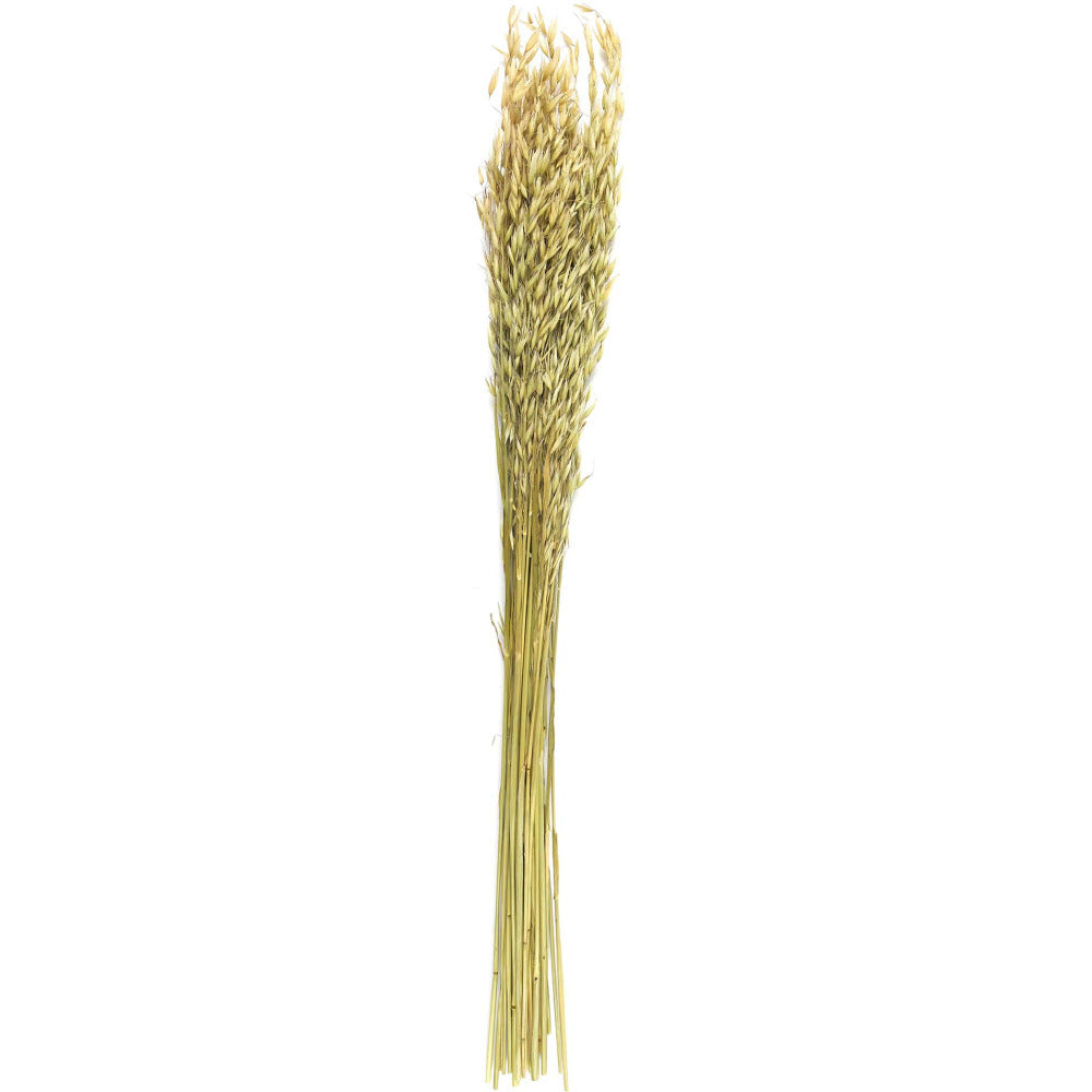  Bouquet De Fleur Séchée 75 Cm (lot De 2)