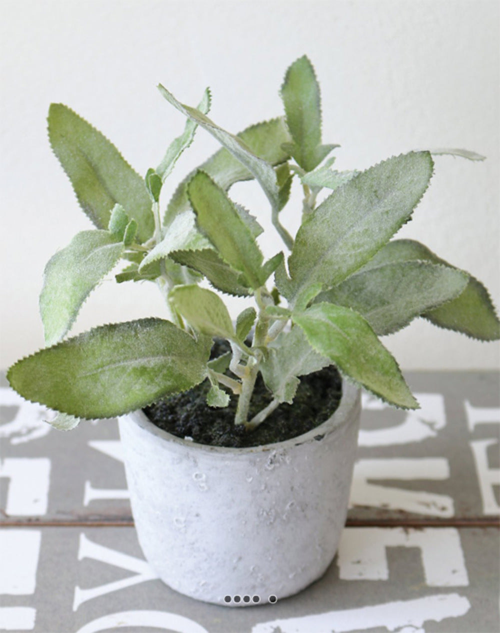  Herbe Aromatique Artificielle Sauge H 17 Cm, D 16cm
