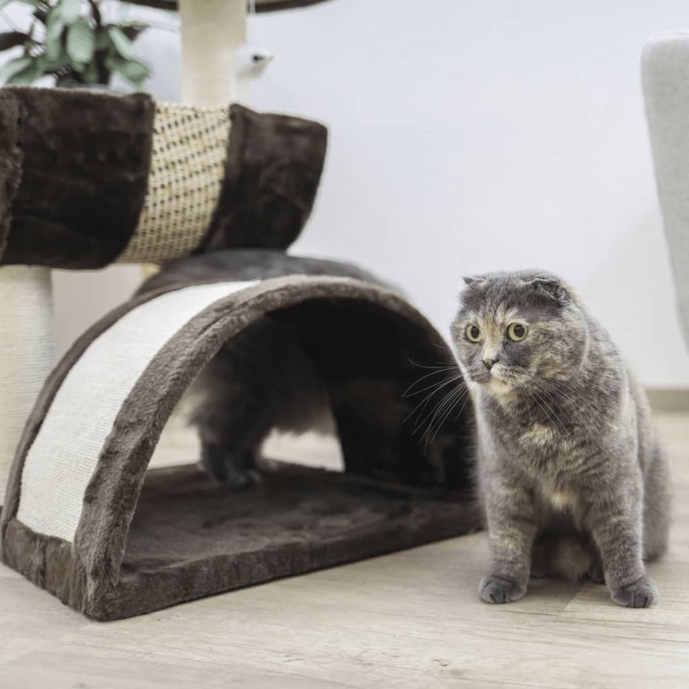 KERBL Arbre à Chat Safari 83 Cm Marron Foncé