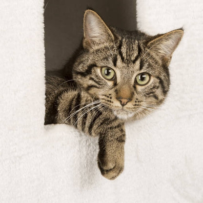 KERBL Baril De Grattage Pour Chats Galina 40x40x78 Cm Blanc Et Marron