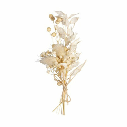  Bouquet De Fleurs Séchées Blanches