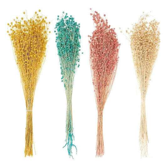  24 Tiges De Lin Séché Multicolores 70 Cm