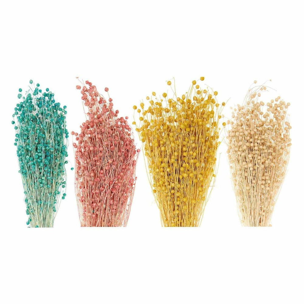  24 Tiges De Lin Séché Multicolores 70 Cm