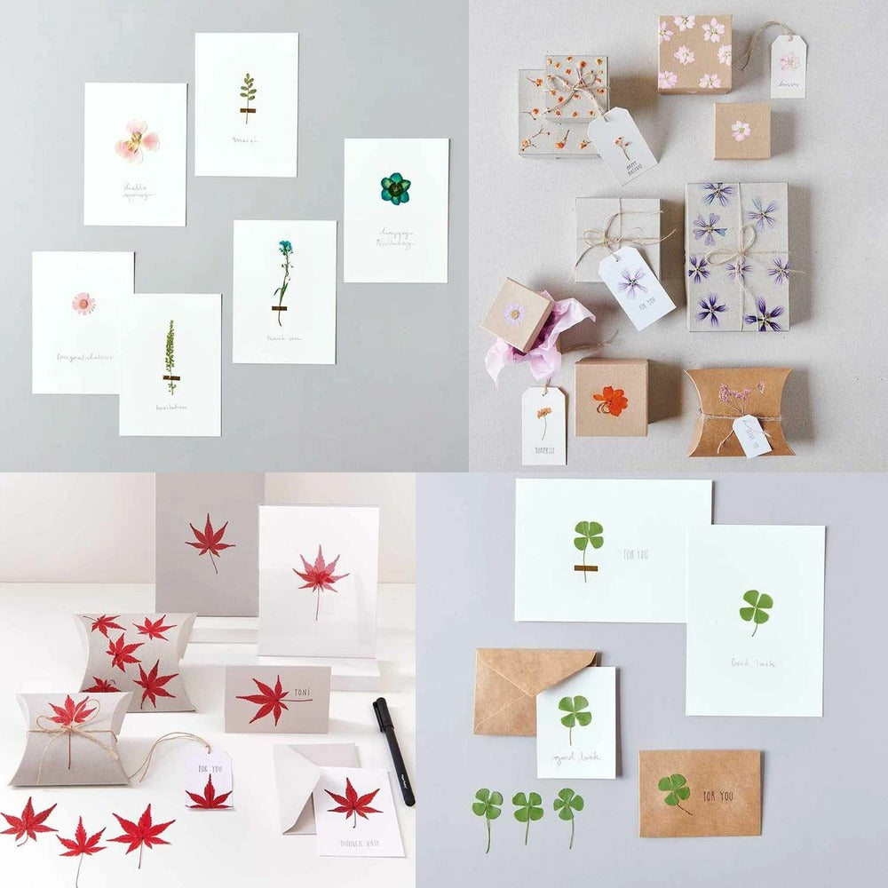  6 Sets De Feuilles/ Fleurs Séchées Et Pressées