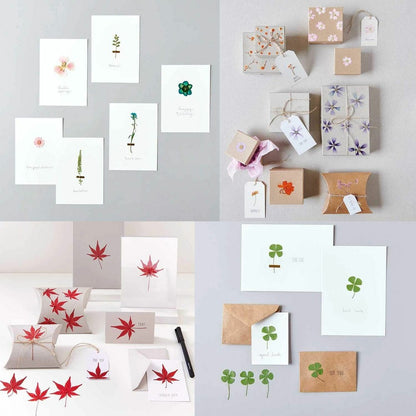  6 Sets De Feuilles/ Fleurs Séchées Et Pressées