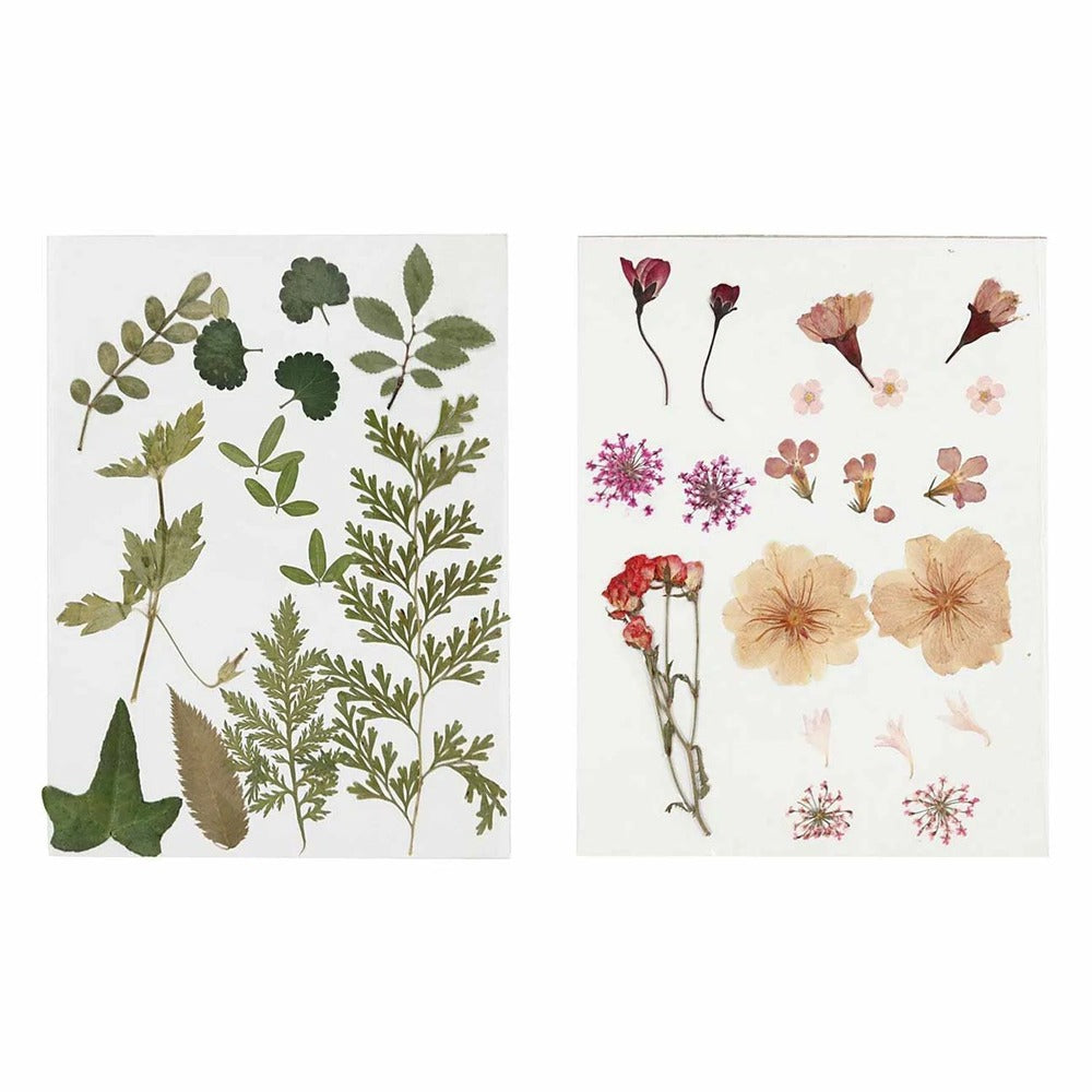  40 Fleurs Et Feuilles Séchées - Rose & Vert