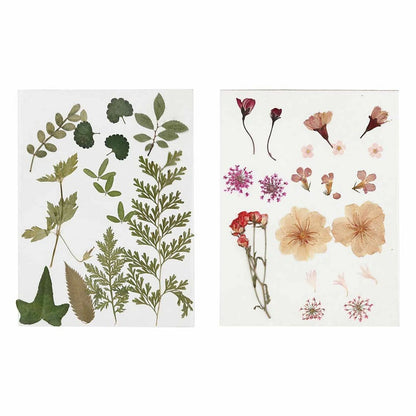  40 Fleurs Et Feuilles Séchées - Rose & Vert