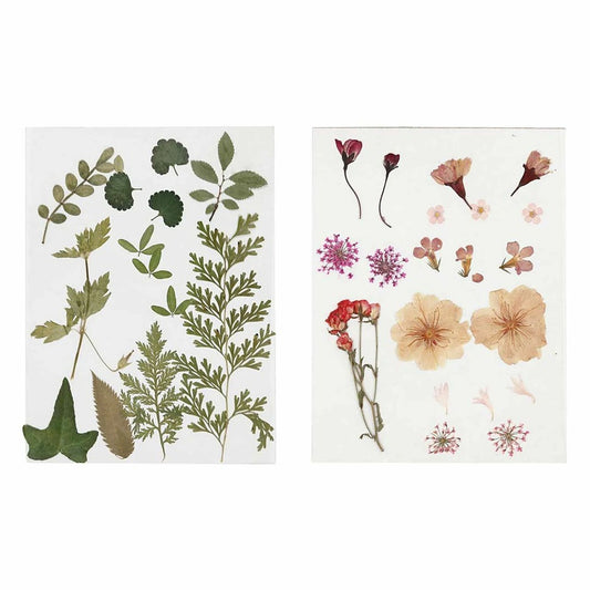  40 Fleurs Et Feuilles Séchées - Rose & Vert