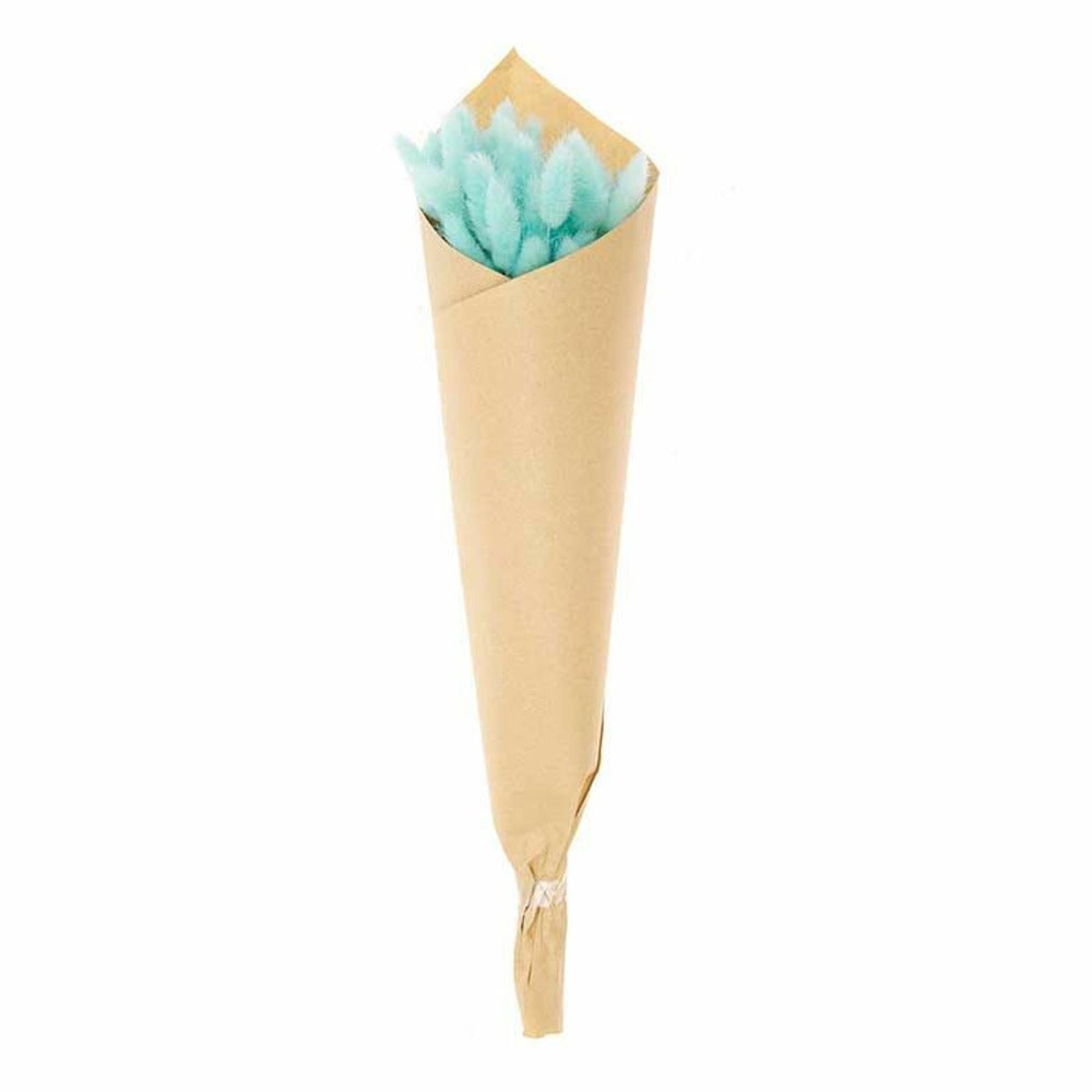  Lagurus Séchés Turquoise - 45 Cm