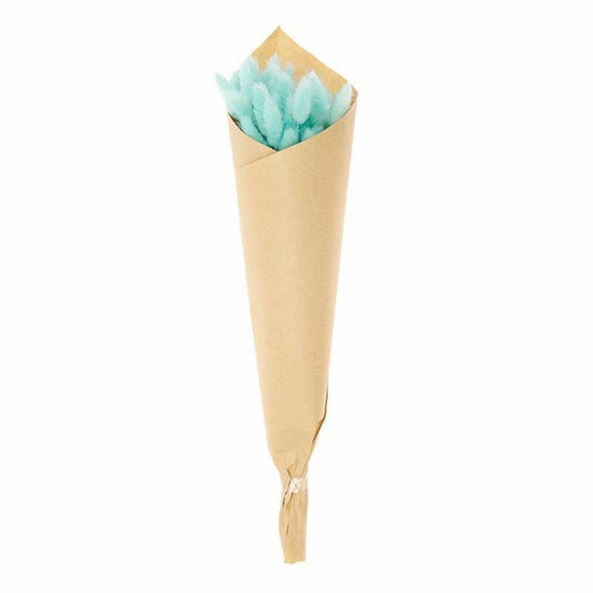 Lagurus Séchés Turquoise - 45 Cm
