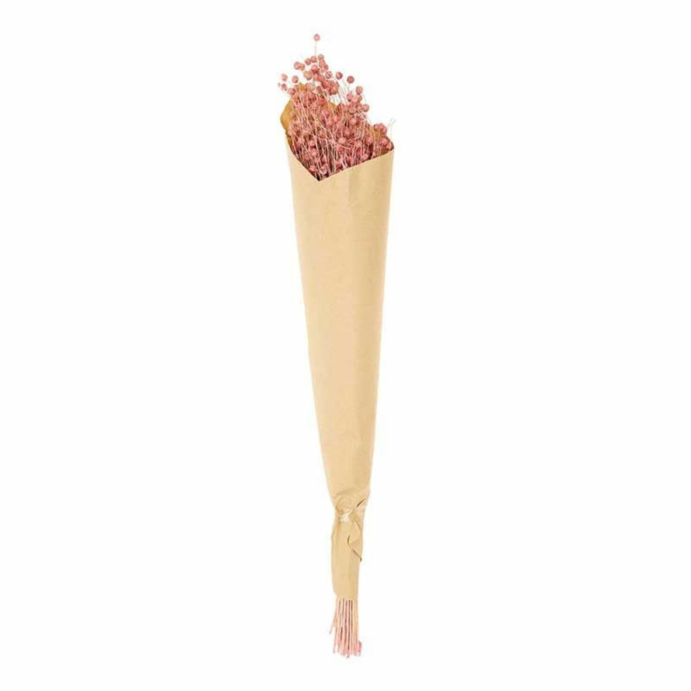  Lins Séchés Rose - 70 Cm