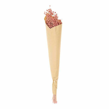  Lins Séchés Rose - 70 Cm