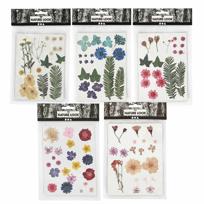  100 Fleurs Séchées Et Pressées Multicolores