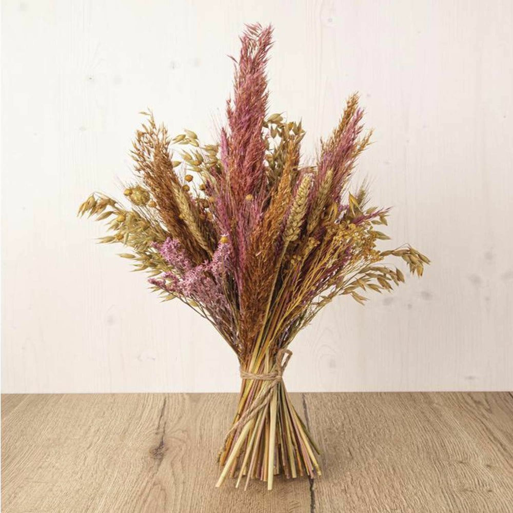  Assortiment De Fleurs Séchées