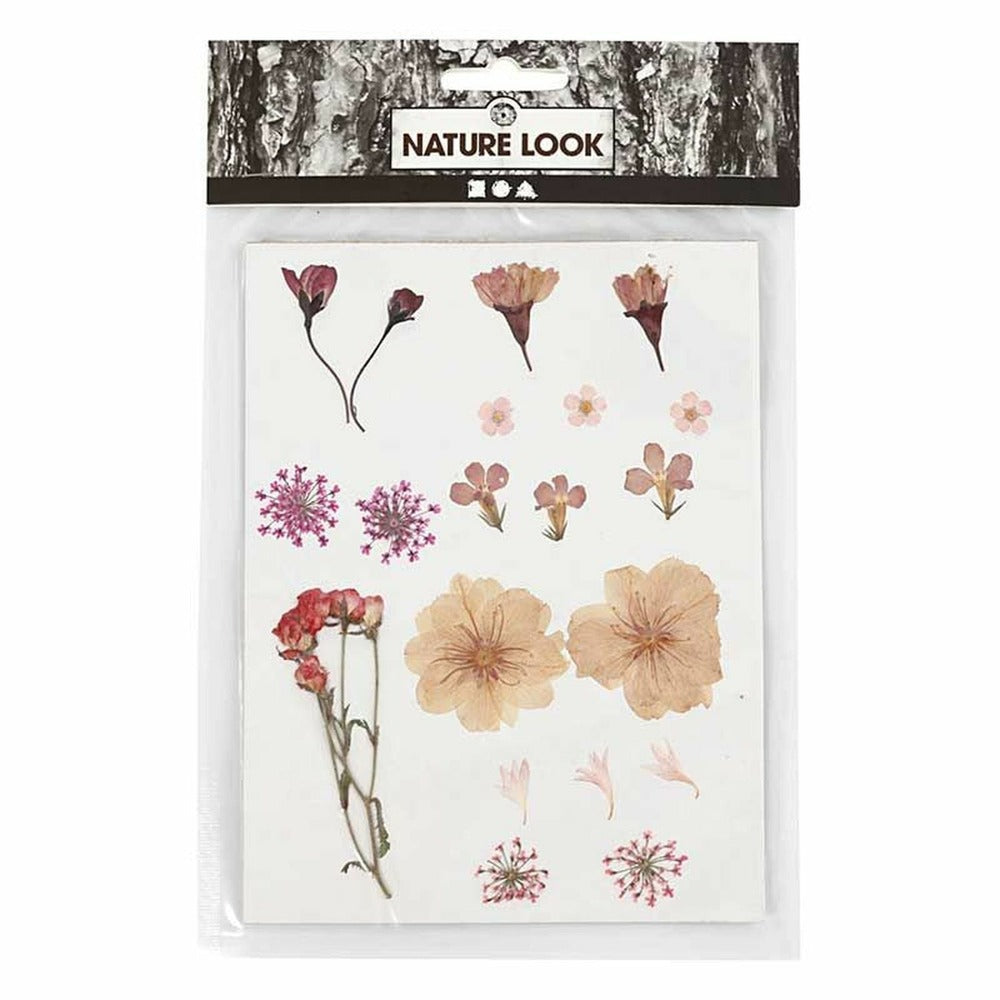  40 Fleurs Séchées Et Pressées - Rose Clair