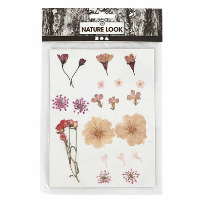  40 Fleurs Séchées Et Pressées - Rose Clair
