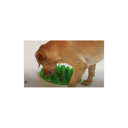  Gamelle Plateau Anti Glouton 40 Cm Pour Chien