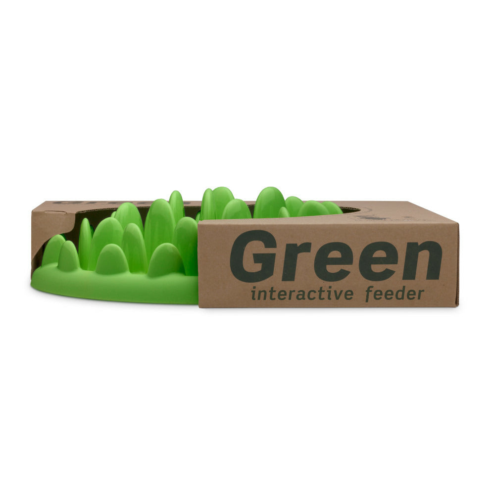  Gamelle Plateau Anti Glouton 40 Cm Pour Chien