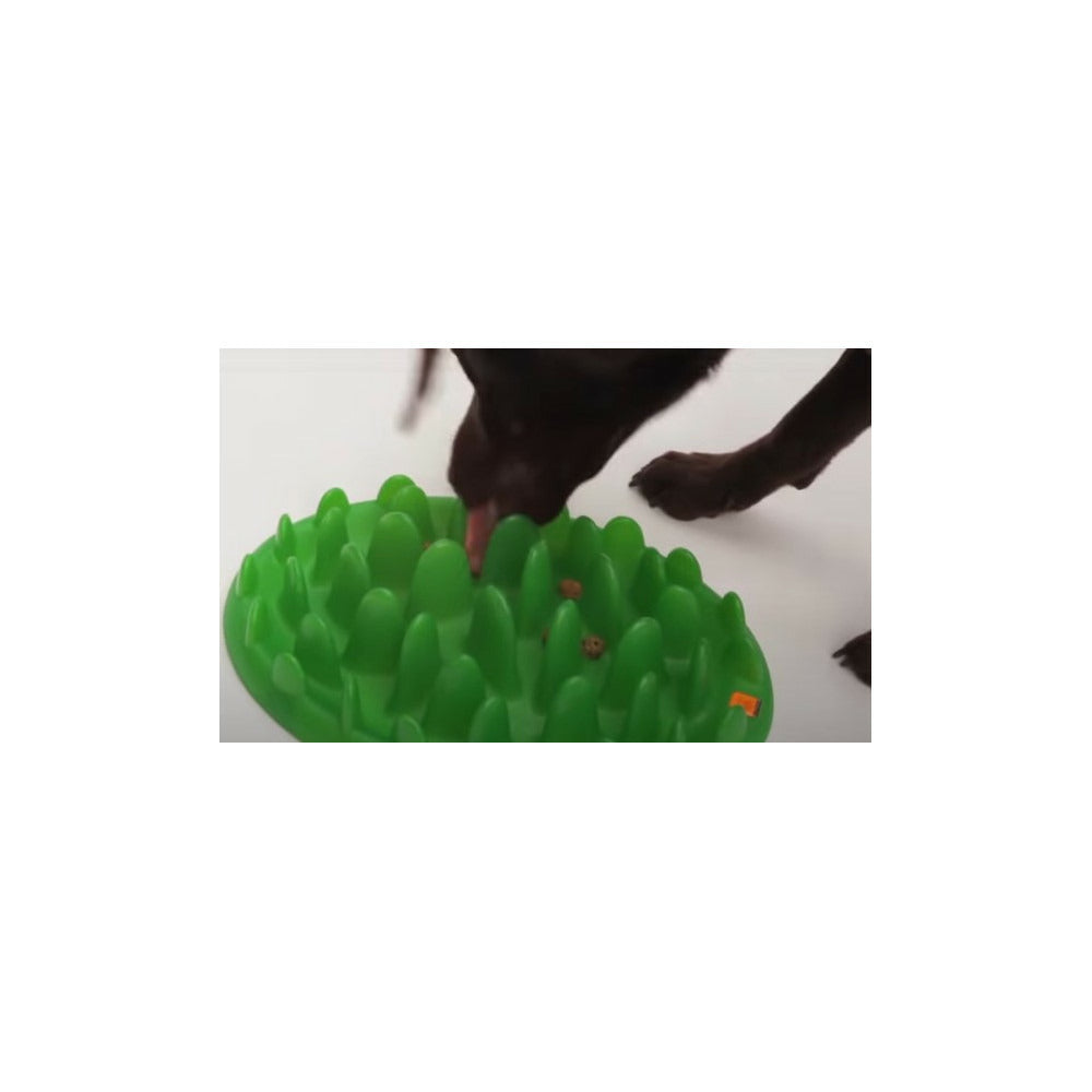  Gamelle Plateau Anti Glouton 40 Cm Pour Chien